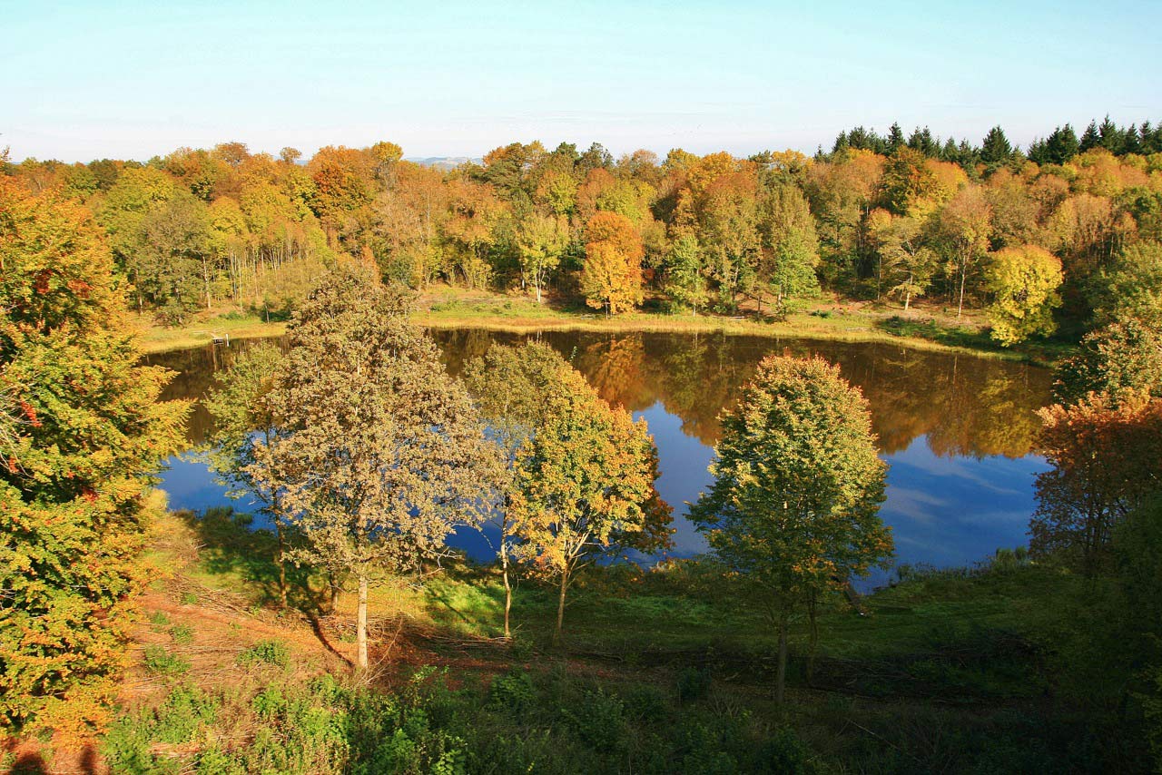 Herbst-am-Windsborner-Kratersee