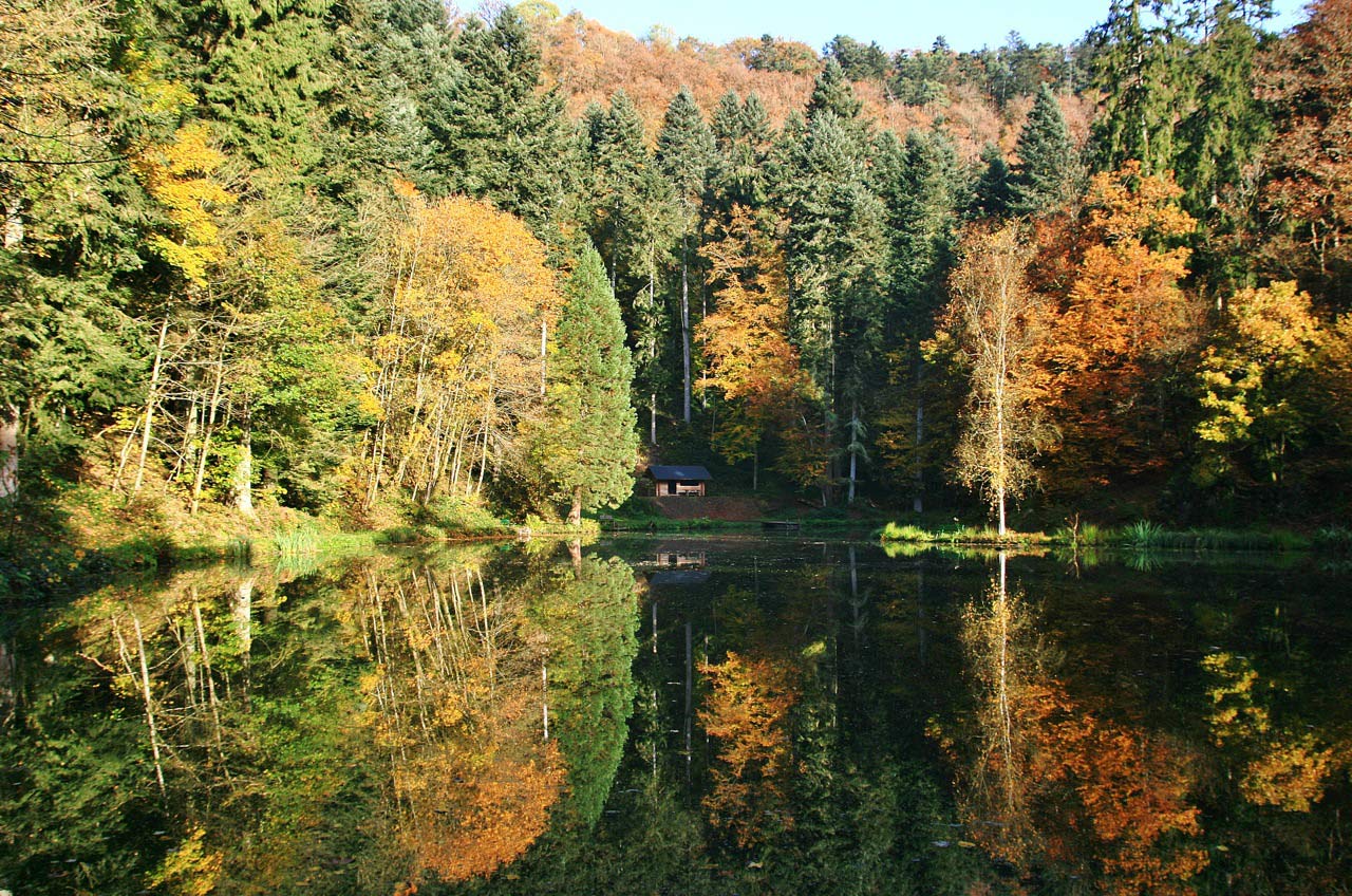 Herbst Eifel