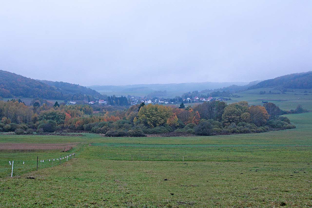 Morgendammerung-am-Mosbrucher-Weiher