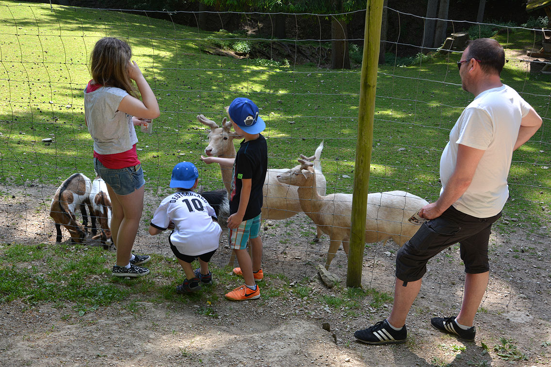 Eifelpark Gondorf Wild- und Freizeitpark