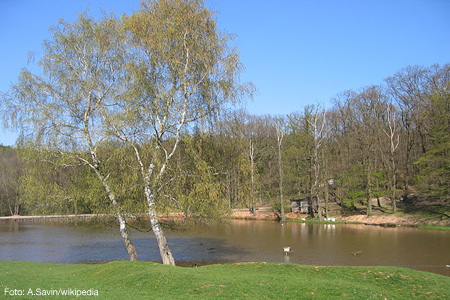 Hochwildpark Rheinland