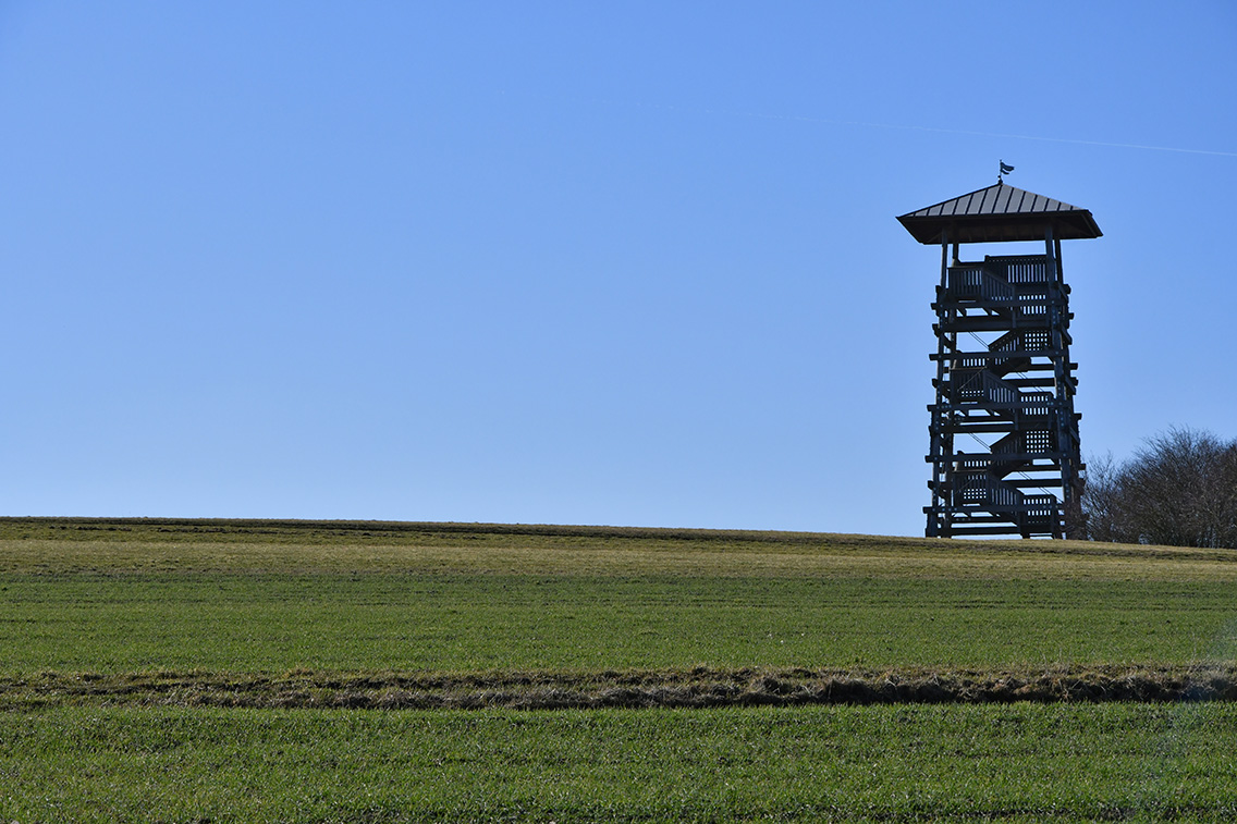 Spuren der Kamillen Traud