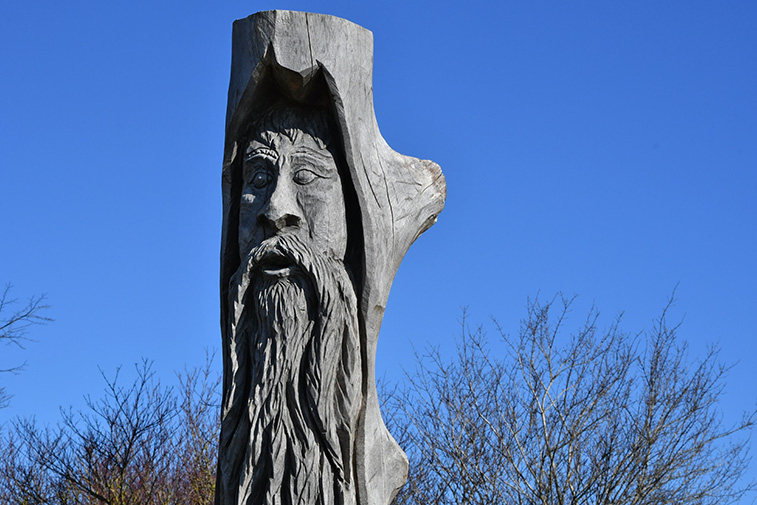 Spuren der Kamillen Traud