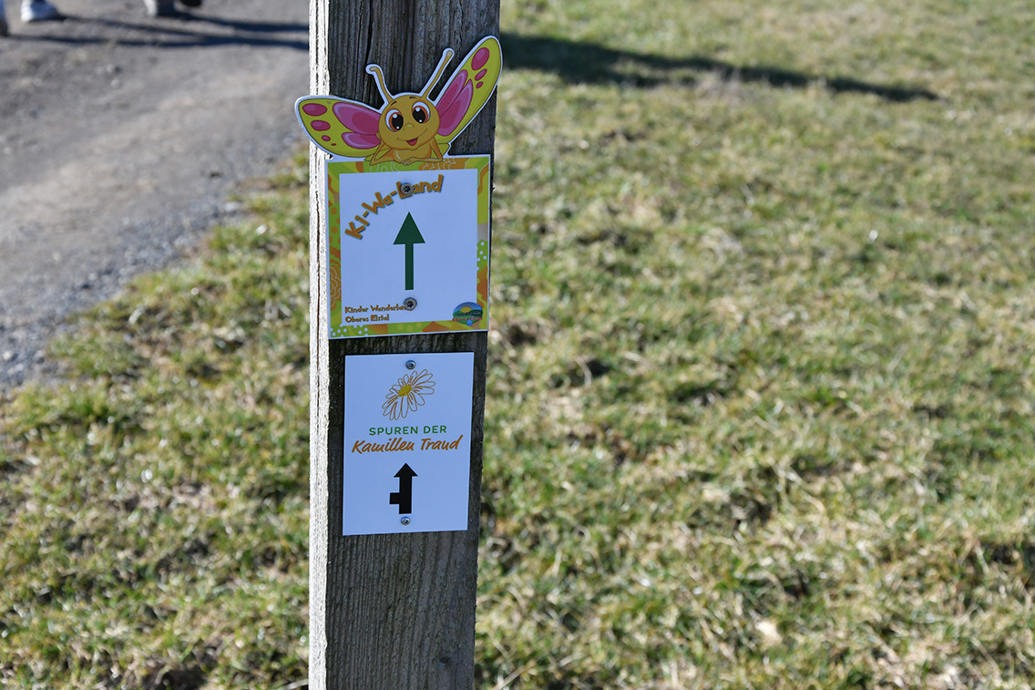 Spuren der Kamillen Traud