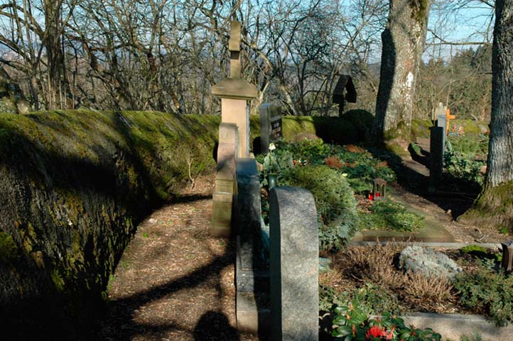 Weinfelder Maar, Totenmaar Daun Schalkenmehren Eifel