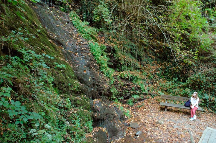 Dortebachtal Klotten