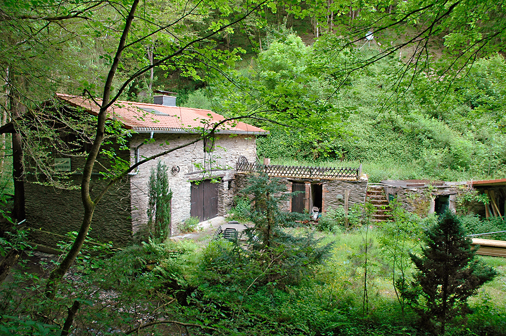 Endertbachtal Cochem Zufluss der Mosel