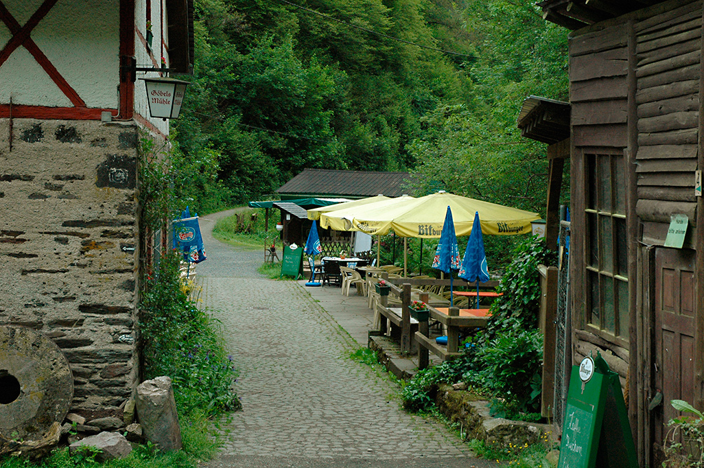 Endertbachtal Cochem Zufluss der Mosel