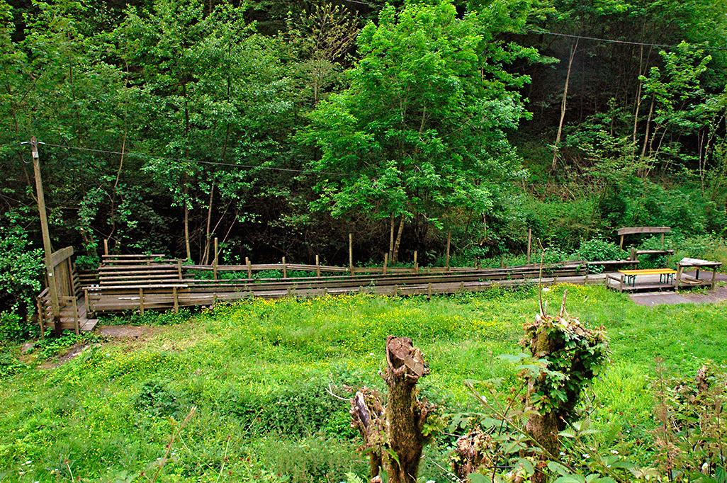 Endertbachtal Cochem Zufluss der Mosel