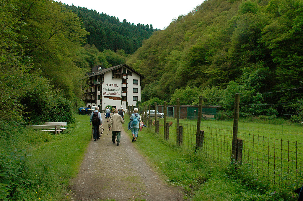 Endertbachtal Cochem Zufluss der Mosel