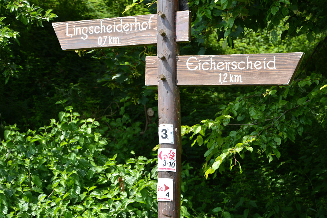 Rückhaltebecken Eicherscheid Eifel