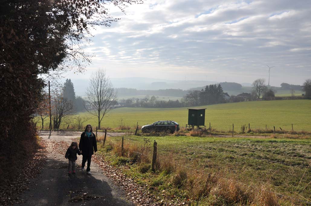 Hardtkopf, Südeifel
