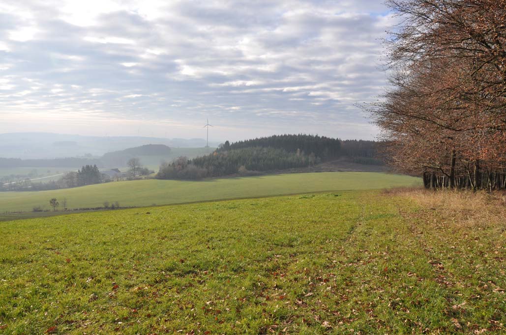 Hardtkopf, Südeifel