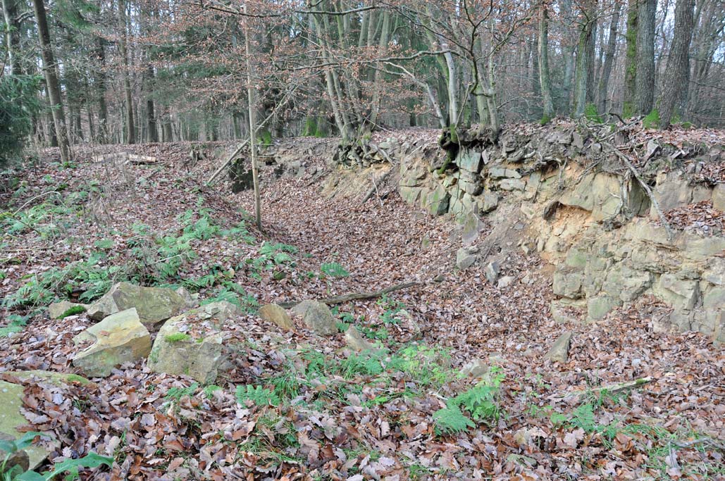 Hardtkopf, Südeifel