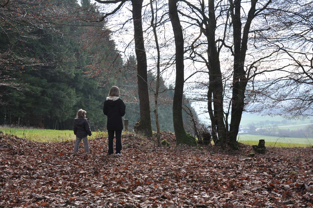 Hardtkopf, Südeifel