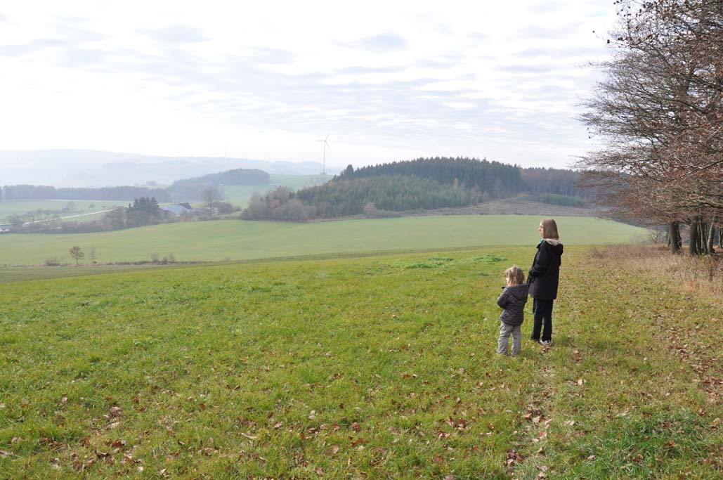 Hardtkopf, Südeifel