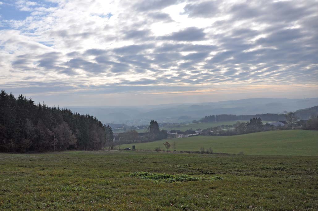 Hardtkopf, Südeifel