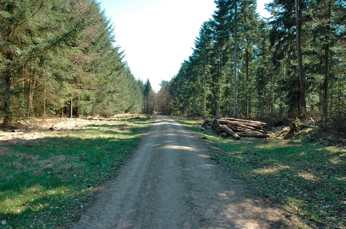 Fraubillenkreuz Eifel
