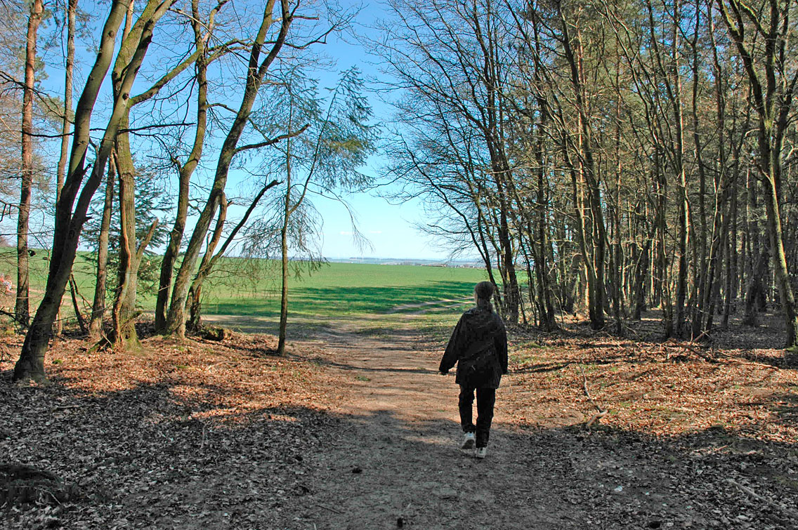 Fraubillenkreuz Eifel