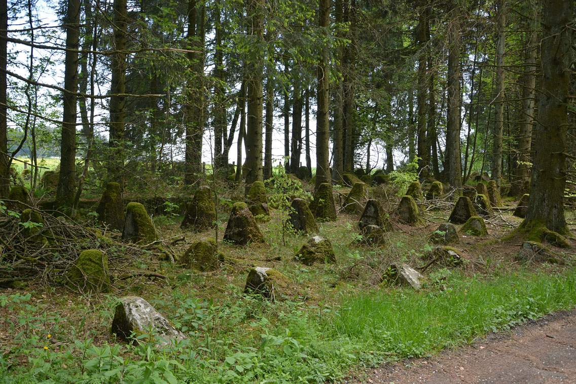 Panzersperren am Westwall Eifel