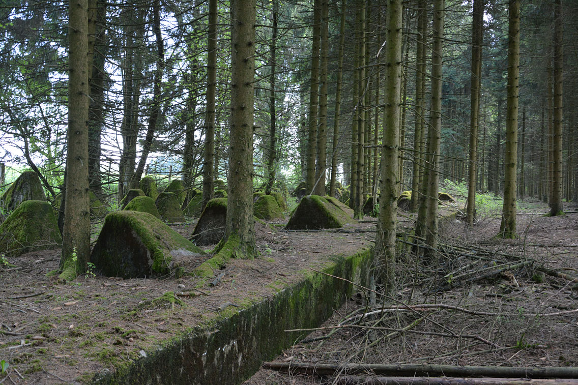 Panzersperren am Westwall Eifel