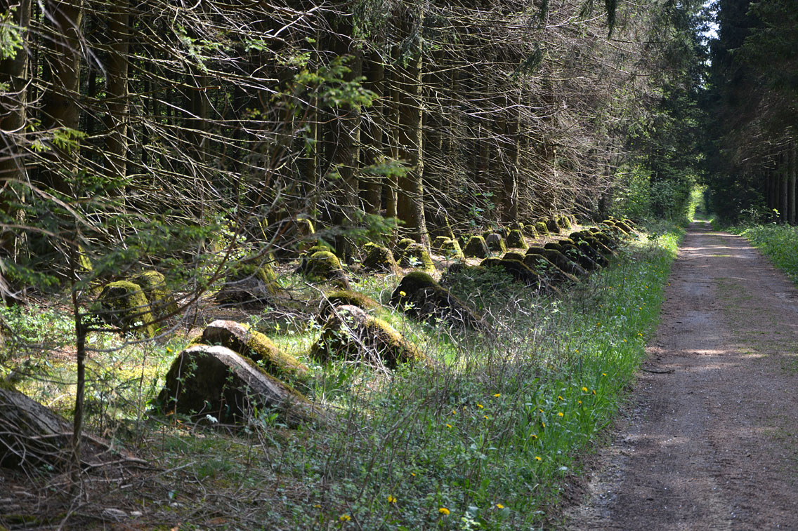 Panzersperren am Westwall Eifel