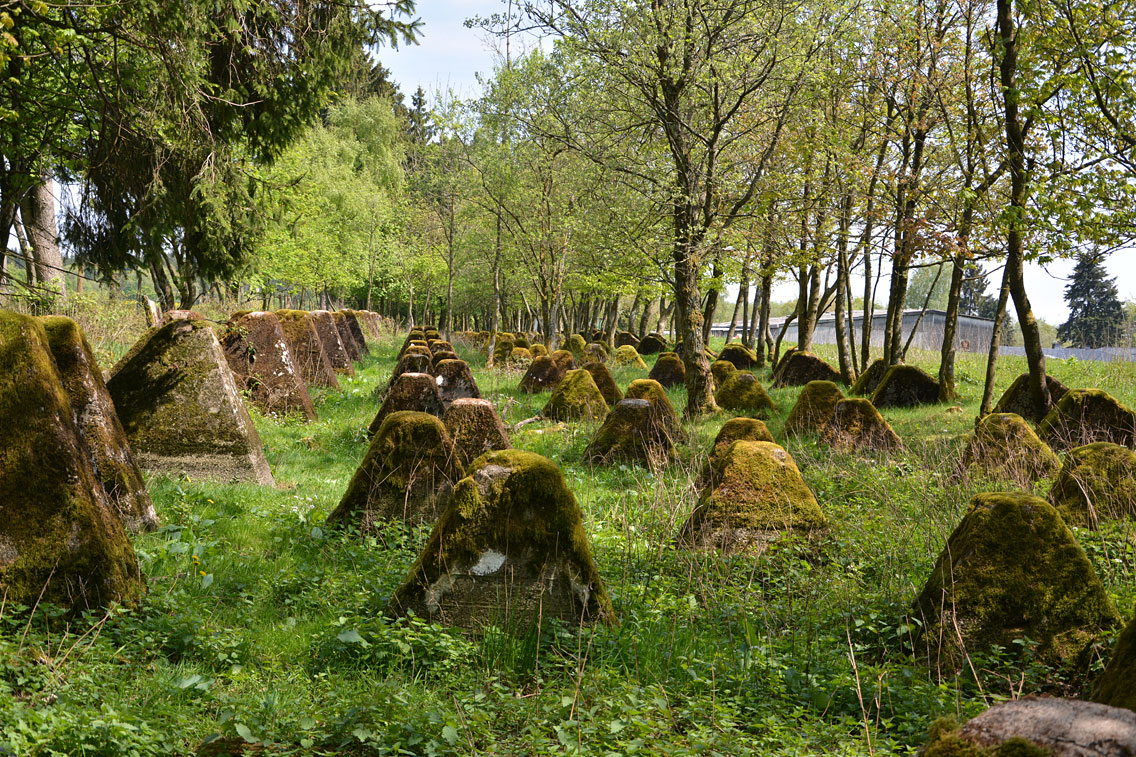 Panzersperren am Westwall Eifel