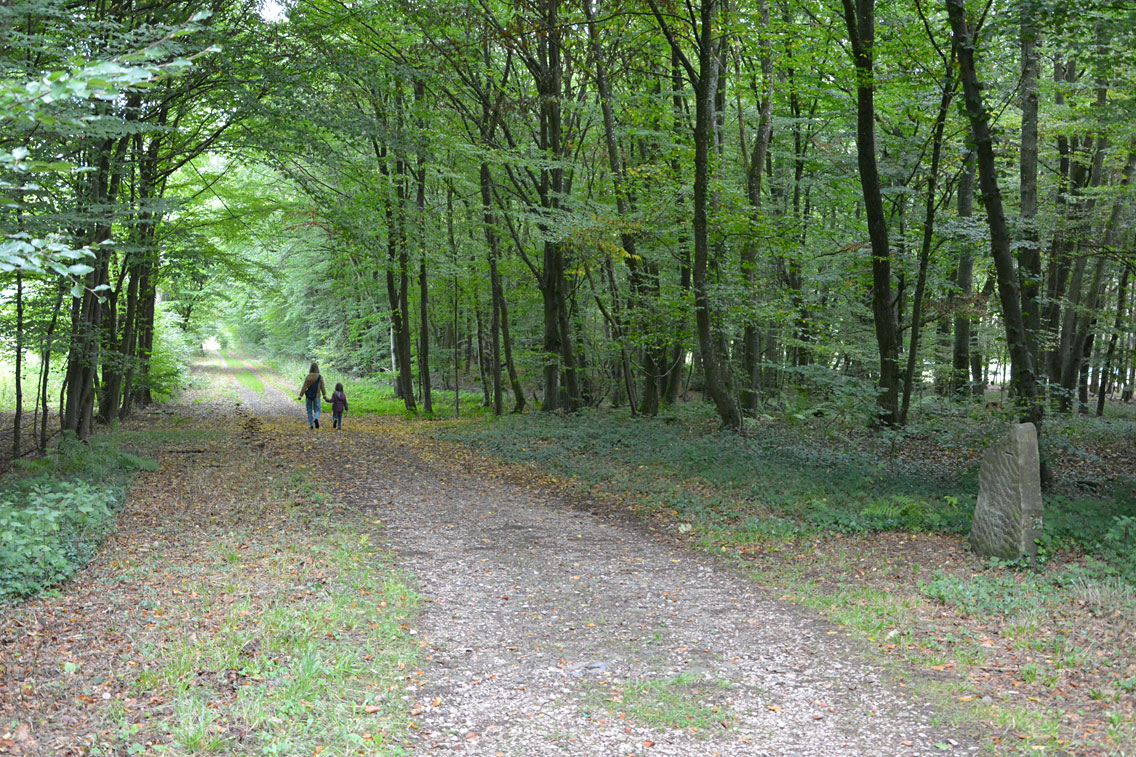 Tempelbezirk Pesch Eifel